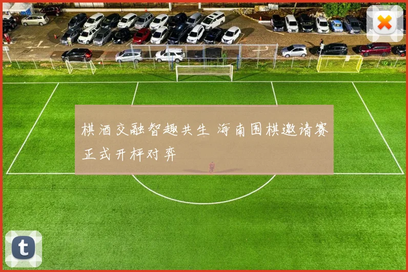 棋酒交融智趣共生 海南围棋邀请赛正式开枰对弈