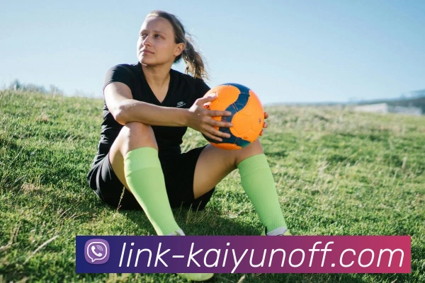 开云官网注册平台生态图