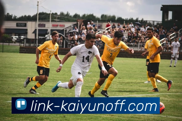 数据防护可视化